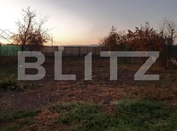 Casa de vânzare 6 camere Hălchiu - 161299CV | BLITZ Brașov | Poza16