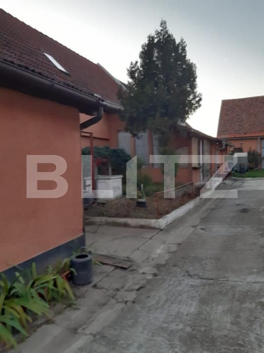 Casa de vânzare 6 camere Hălchiu - 161299CV | BLITZ Brașov | Poza3