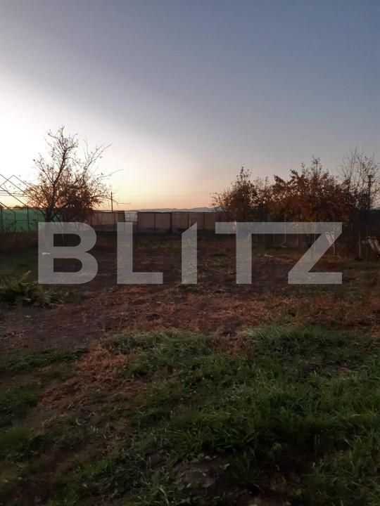 Casa de vânzare 6 camere Hălchiu - 161299CV | BLITZ Brașov | Poza16