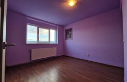 Apartament 2 camere, zona strazii Traian Vuia