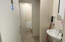 Spatiu de birouri, 314 mp, zona Plopilor