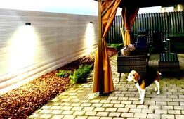 Apartament de lux, 3 camere, jacuzzi, 70 mp, gradina 100mp, Buna Ziua