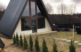 Casa de vacanta tip A- frame -Tohanita, zona superba se vinde la cheie