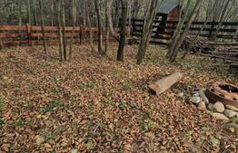 Casa de vacanta tip A- frame -Tohanita, zona superba se vinde la cheie