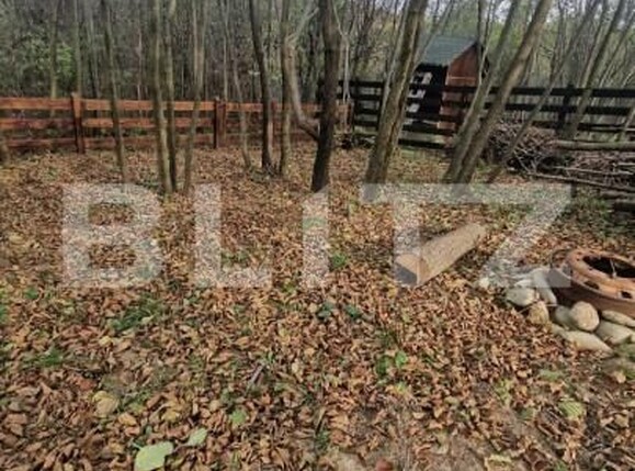 Casa de vânzare 4 camere Tohanu Nou - 161385CV | BLITZ Brașov | Poza8