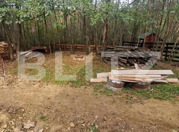 Casa de vânzare 4 camere Tohanu Nou - 161385CV | BLITZ Brașov | Poza7