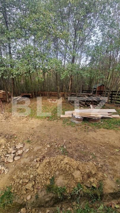 Casa de vânzare 4 camere Tohanu Nou - 161385CV | BLITZ Brașov | Poza7