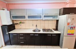 Apartament cu 2 camere, 35mp gradina, terasa 10mp, zona Centrala