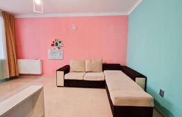 Apartament cu 2 camere, 35mp gradina, terasa 10mp, zona Centrala