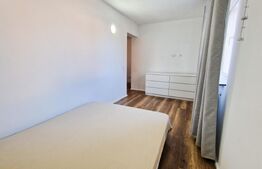 Ideal investitie! 2 apartamente cu 2 camere fiecare, curte privata, Tineretului