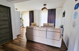 Ideal investitie! 2 apartamente cu 2 camere fiecare, curte privata, Tineretului