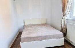Ideal investitie! 2 apartamente cu 2 camere fiecare, curte privata, Tineretului