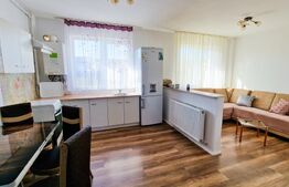 Ideal investitie! 2 apartamente cu 2 camere fiecare, curte privata, Tineretului