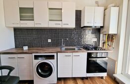 Ideal investitie! 2 apartamente cu 2 camere fiecare, curte privata, Tineretului