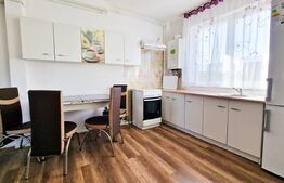 Ideal investitie! 2 apartamente cu 2 camere fiecare, curte privata, Tineretului