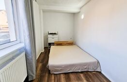 Ideal investitie! 2 apartamente cu 2 camere fiecare, curte privata, Tineretului