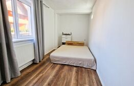 Ideal investitie! 2 apartamente cu 2 camere fiecare, curte privata, Tineretului