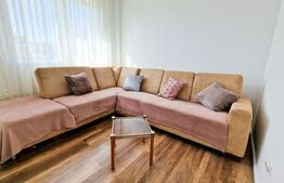 Ideal investitie! 2 apartamente cu 2 camere fiecare, curte privata, Tineretului