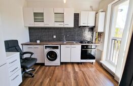 Ideal investitie! 2 apartamente cu 2 camere fiecare, curte privata, Tineretului