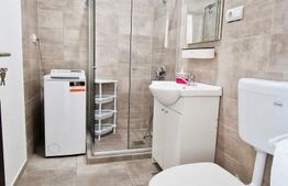 Ideal investitie! 2 apartamente cu 2 camere fiecare, curte privata, Tineretului