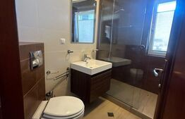 Apartament unic, 4 camere, 2 bai, terasa 115 mp, 2 garaje, Buna Ziua