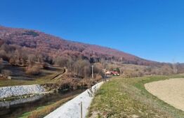 Teren extravilan - Sita Buzaului -6800 mp posibilitate trecere intravilan