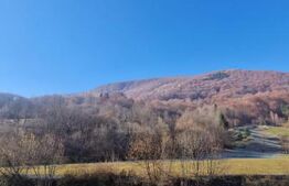 Teren extravilan - Sita Buzaului -6800 mp posibilitate trecere intravilan