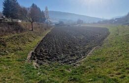 Teren extravilan - Sita Buzaului -6800 mp posibilitate trecere intravilan