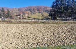 Teren extravilan - Sita Buzaului -6800 mp posibilitate trecere intravilan