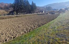 Teren extravilan - Sita Buzaului -6800 mp posibilitate trecere intravilan