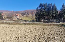 Teren extravilan - Sita Buzaului -6800 mp posibilitate trecere intravilan