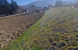 Teren extravilan - Sita Buzaului -6800 mp posibilitate trecere intravilan