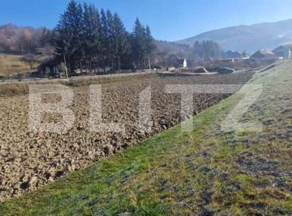 Teren de vânzare Est - 161433TV | BLITZ Brașov | Poza6