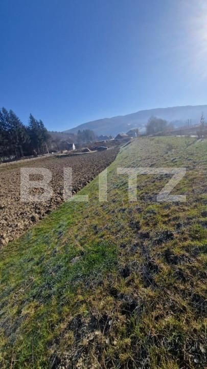 Teren de vânzare Est - 161433TV | BLITZ Brașov | Poza4
