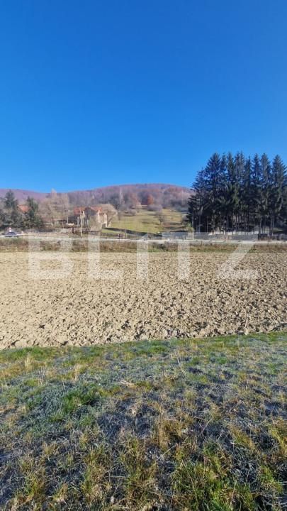 Teren de vânzare Est - 161433TV | BLITZ Brașov | Poza5