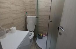 Garsoniera de vanzare Plopilor