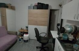 Garsoniera de vanzare Plopilor