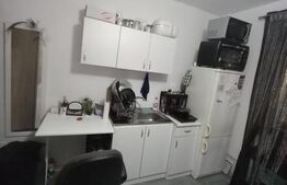 Garsoniera de vanzare Plopilor