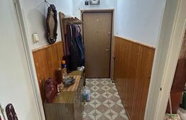 De vanzare apartament 2 camere zona 13 Decembrie