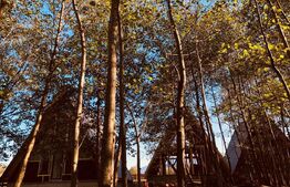 Pachet de 3 case in zona Tohanita, case tip A-frame  , 400 mp teren fiecare 