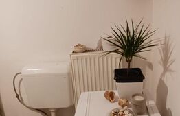 Apartament 2 camere, Tractoru, pozitie excelenta