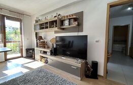 Apartament 2 camere decomandat 50mp cu gradina - Tractorul