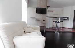 1 camera, 44 mp, imobil nou, mobilat modern, AC, zona Kaufland