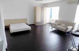 1 camera, 44 mp, imobil nou, mobilat modern, AC, zona Kaufland