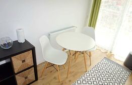 Apartament cu 2 camere, mobilat modern, 32mp, balcon, zona Eroilor