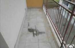 De vanzare mansarda 1 camera, 37 mp, balcon, zona strazii Florilor!