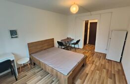 Garsoniera 21 mp, mobilata, bloc reabilitat, zona Marasti