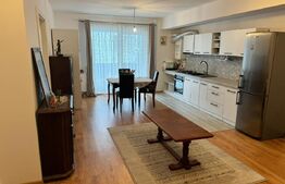 Apartament 2 camere, mobilat, etaj 1, terasa zona Cetatii