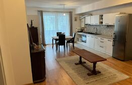 Apartament 2 camere, mobilat, etaj 1, terasa zona Cetatii