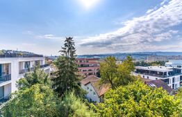 Casa 450 mp utili, 1000 mp teren, Grigorescu, gradinita, clinica, pensiune!